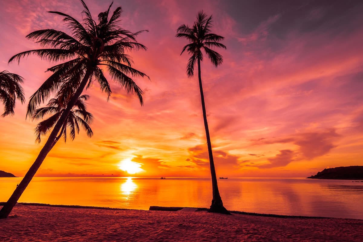Ofertas de viajes planteados por Conductores hehetravel. jeje travel